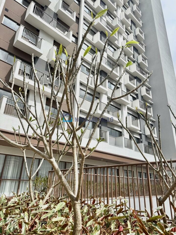 Foto 23 - MO16974