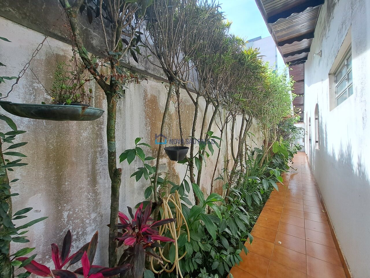Foto 23 - MO17052