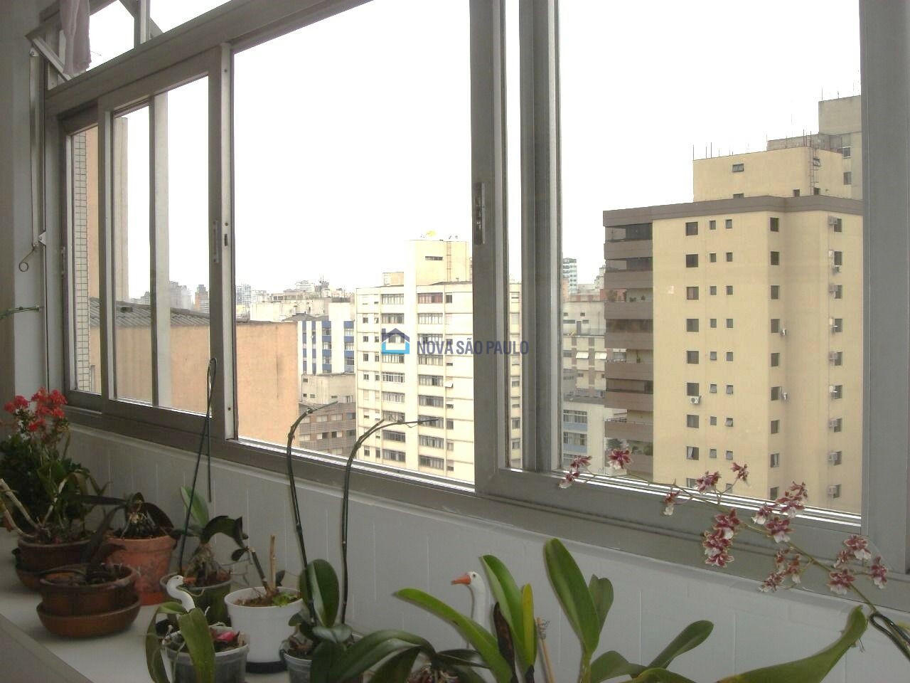 Foto 19 - MO17661