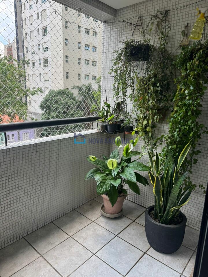 Foto 4 - MO18238