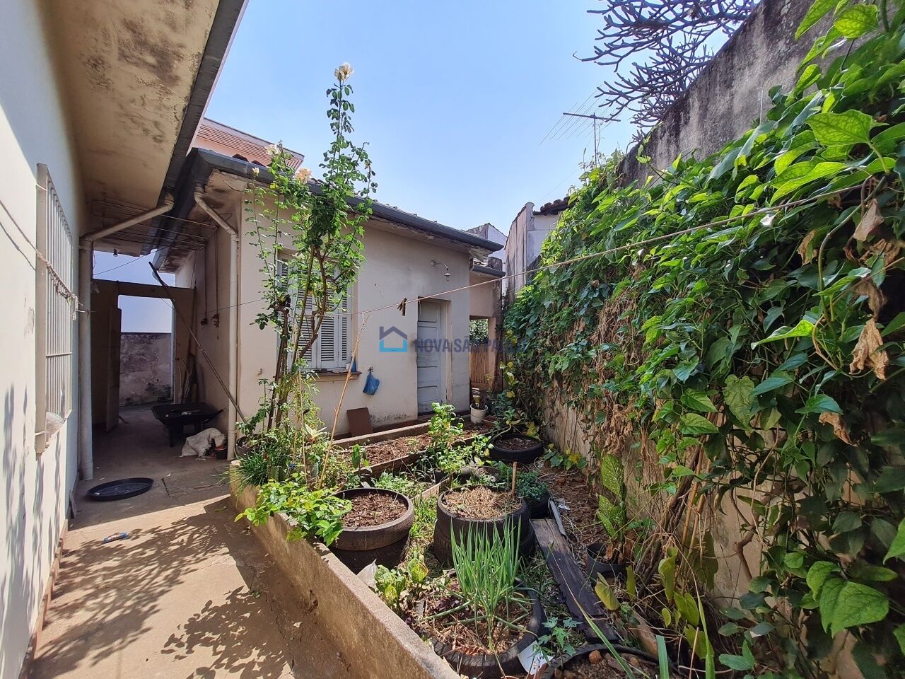 Foto 6 - MO18293