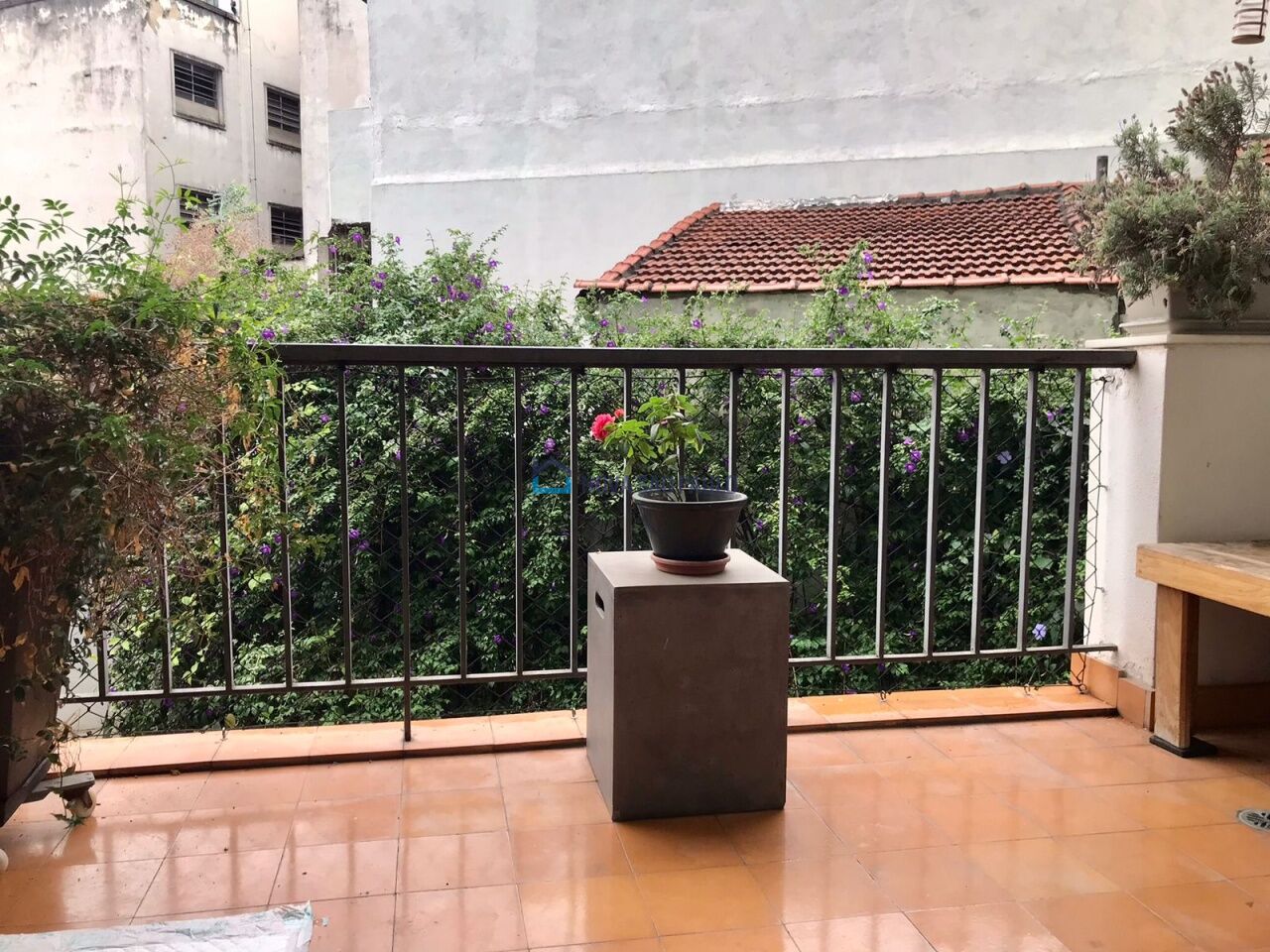 Foto 19 - MO19221
