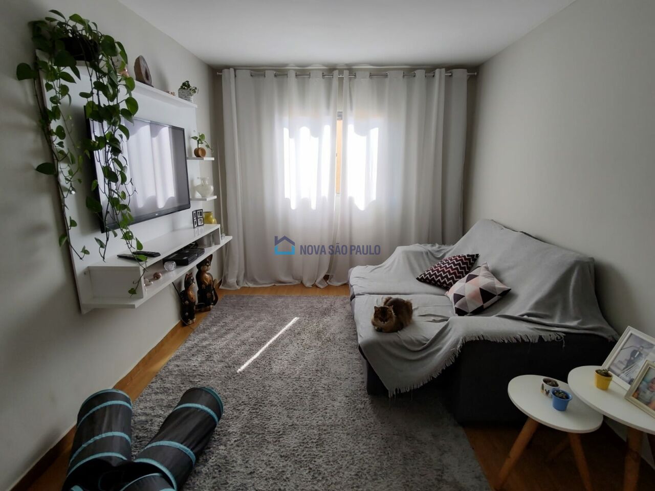 Foto 4 - MO9837