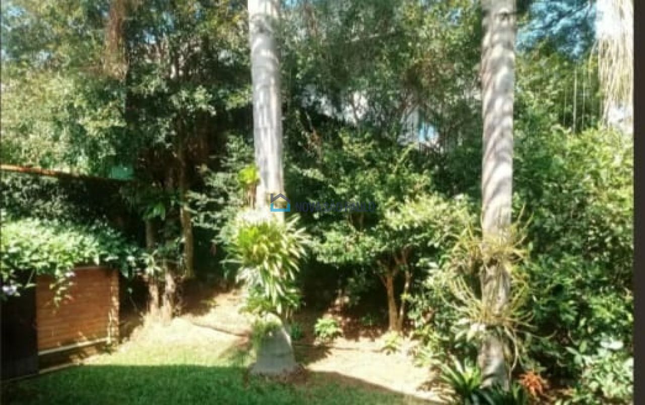 Foto 15 - MO9949