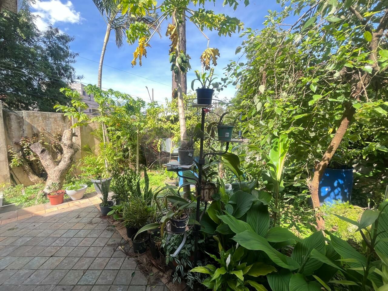Casa Térrea para Venda - Alto da Boa Vista