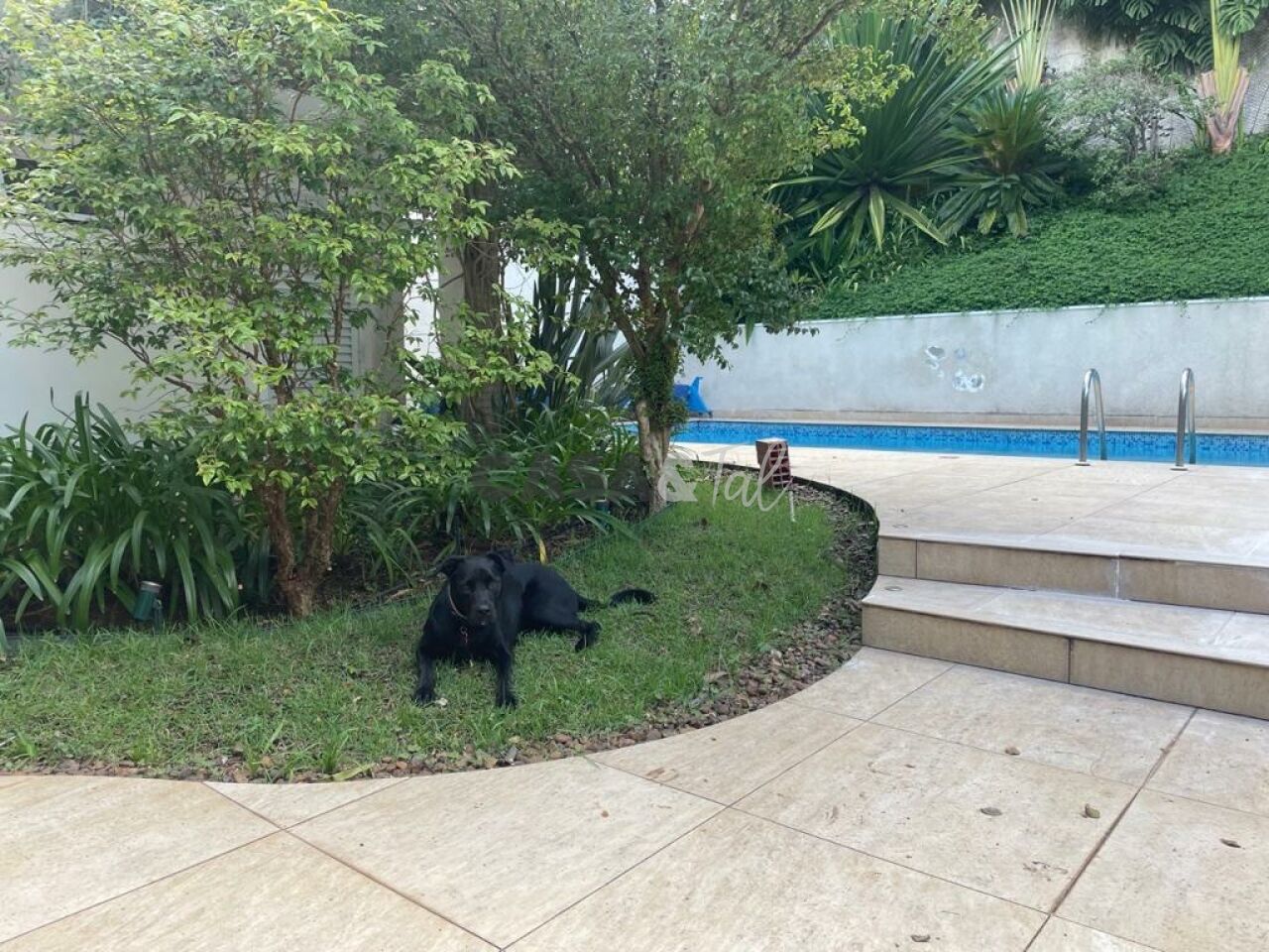Sobrado para Venda - Chácara Monte Alegre