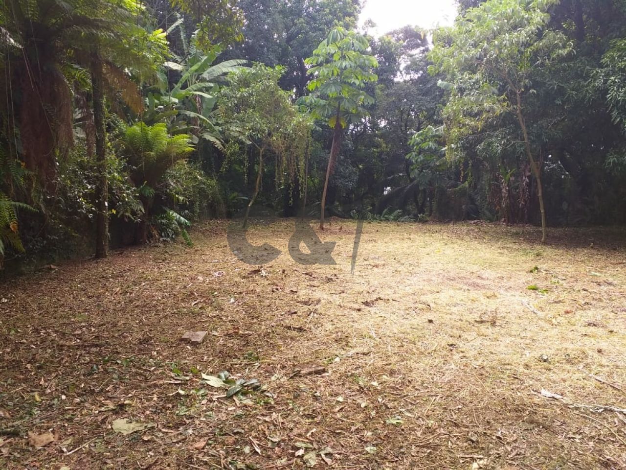 Terreno para Venda - Chácara Flora