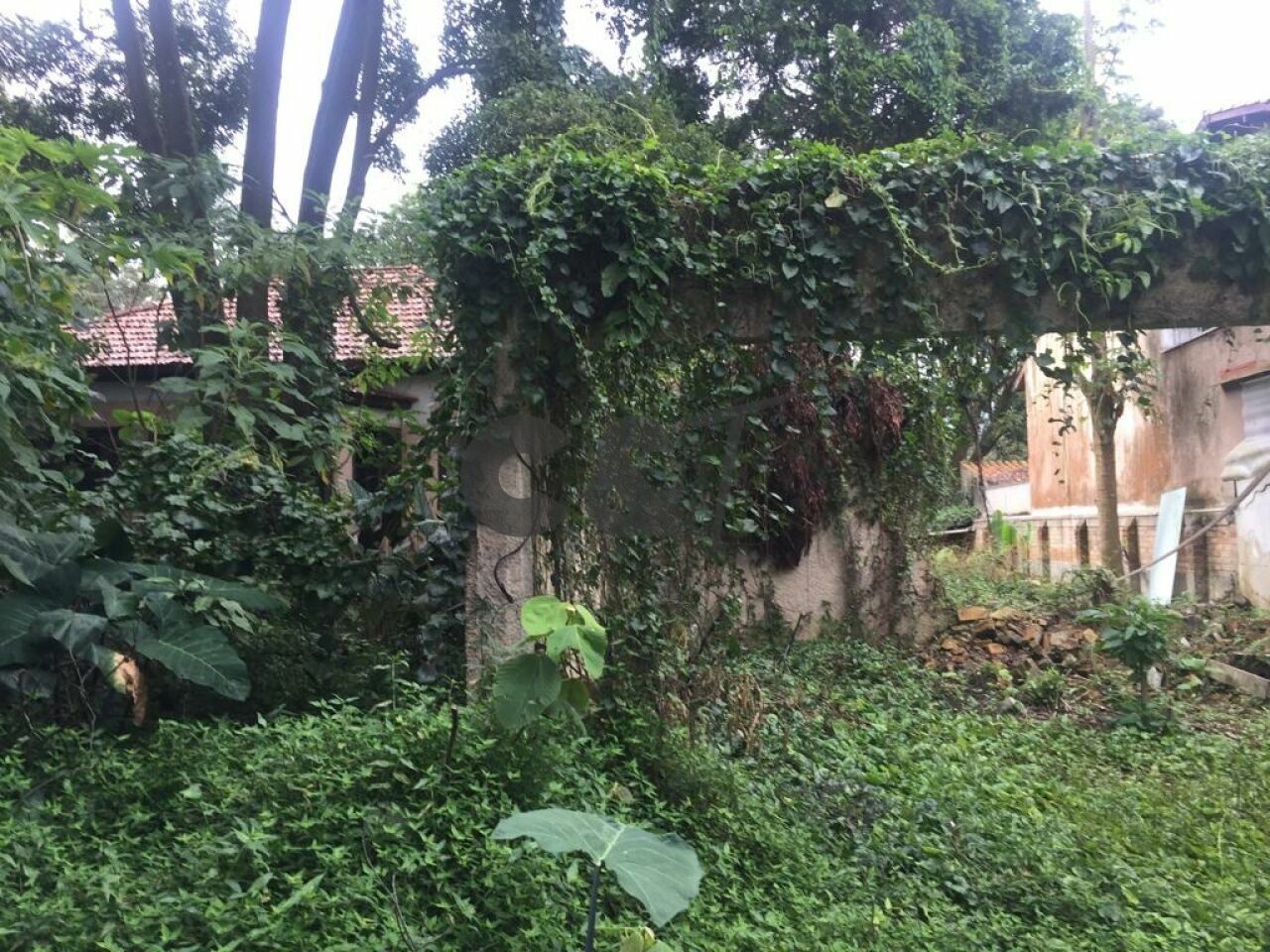 Terreno para Venda - Alto da Boa Vista