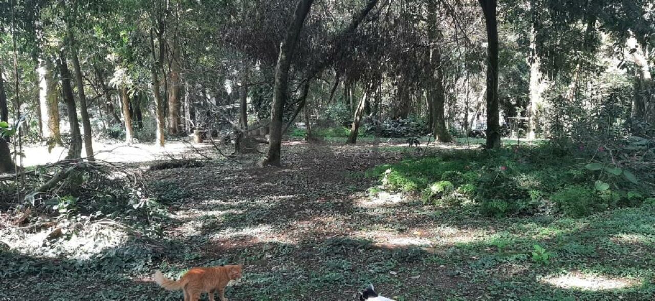 Terreno para Venda - Chácara Flora