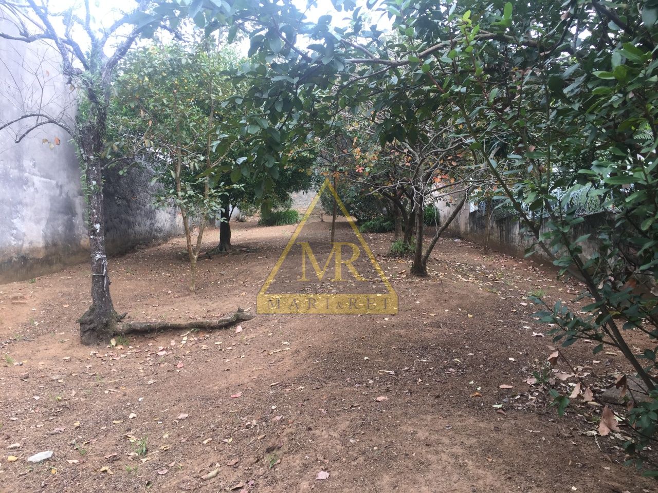 Casa Térrea para Venda - Campo Belo