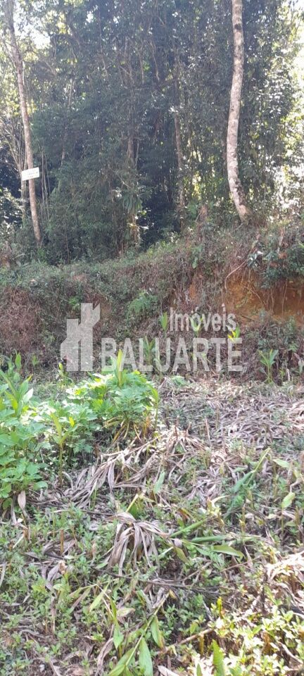 Bella Casa Imóveis