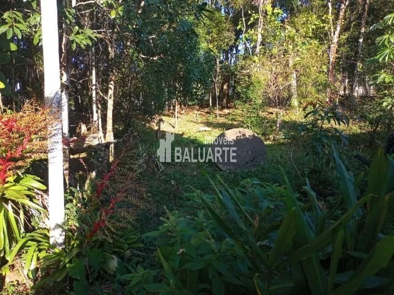 Bella Casa Imóveis
