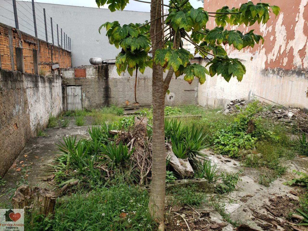 Casa Térrea para Venda - Jardim Brasil Zona Sul