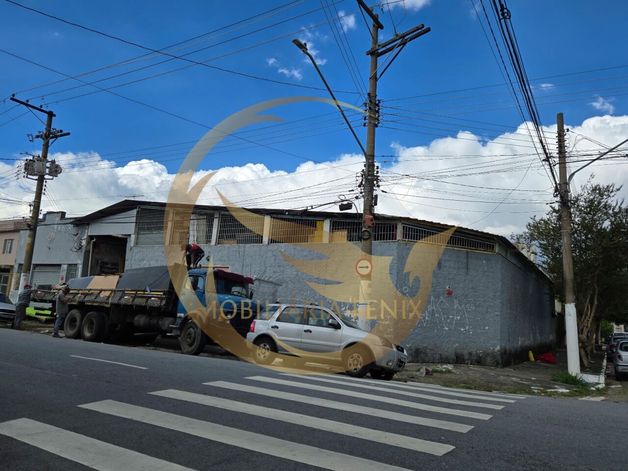 Galpão para Venda - Vila Maria