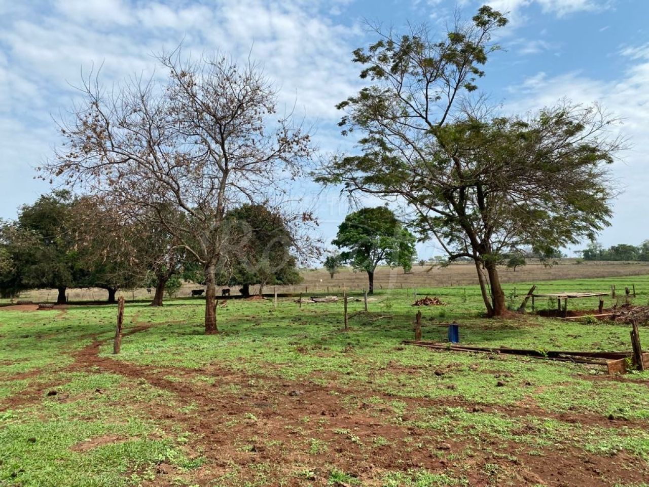 Sítio para Venda - Centro