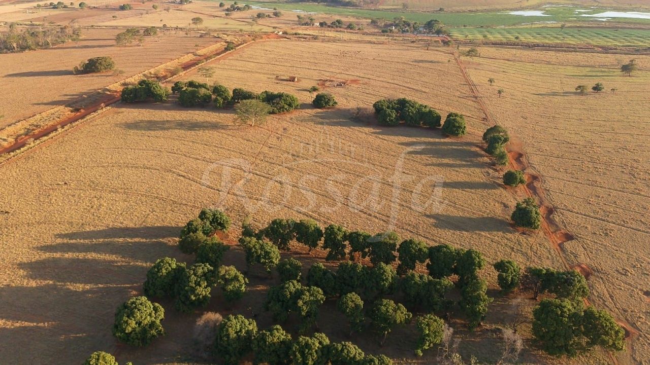Sítio para Venda - Centro