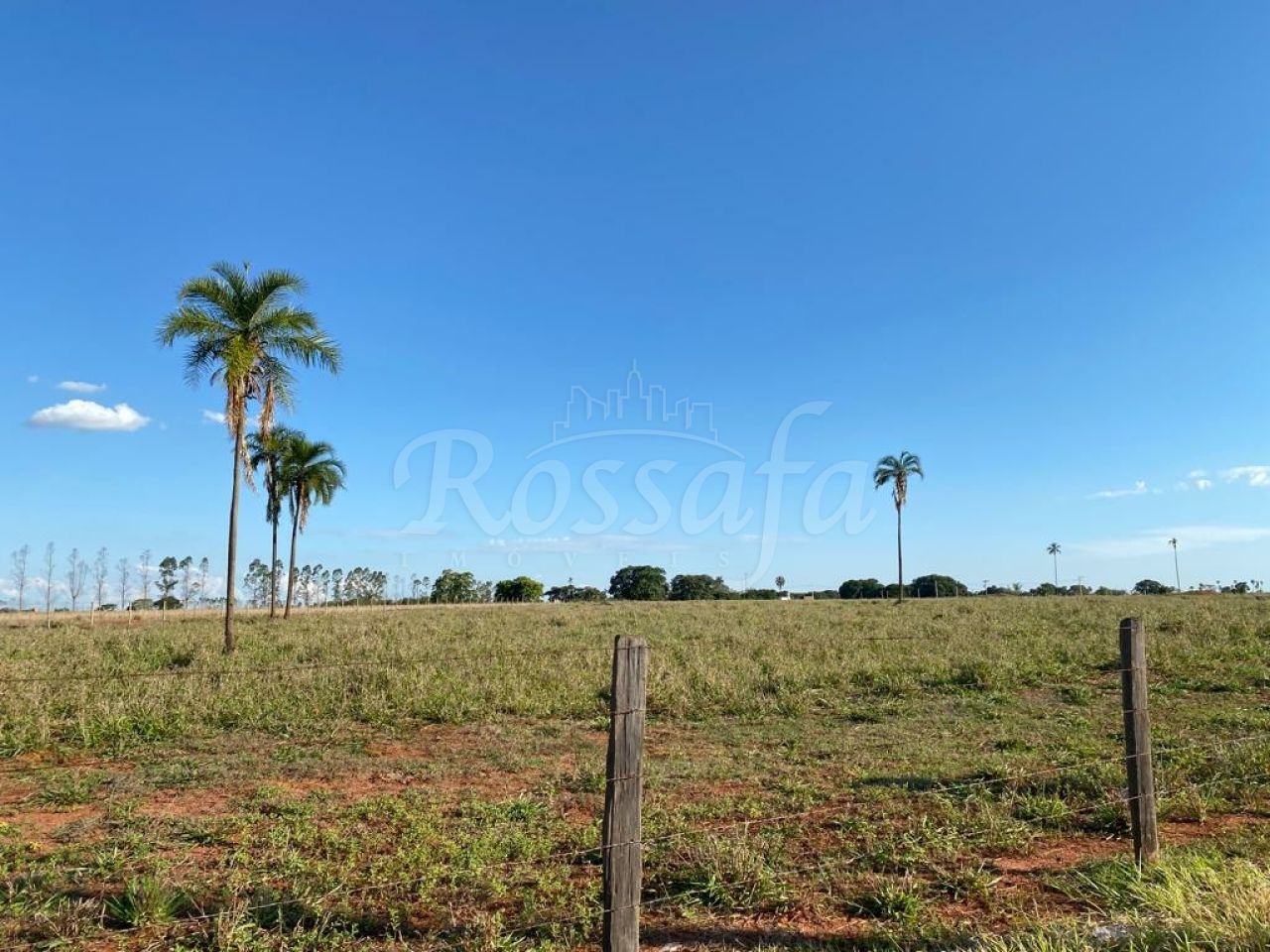 Sítio para Venda - Rubinéia -SP