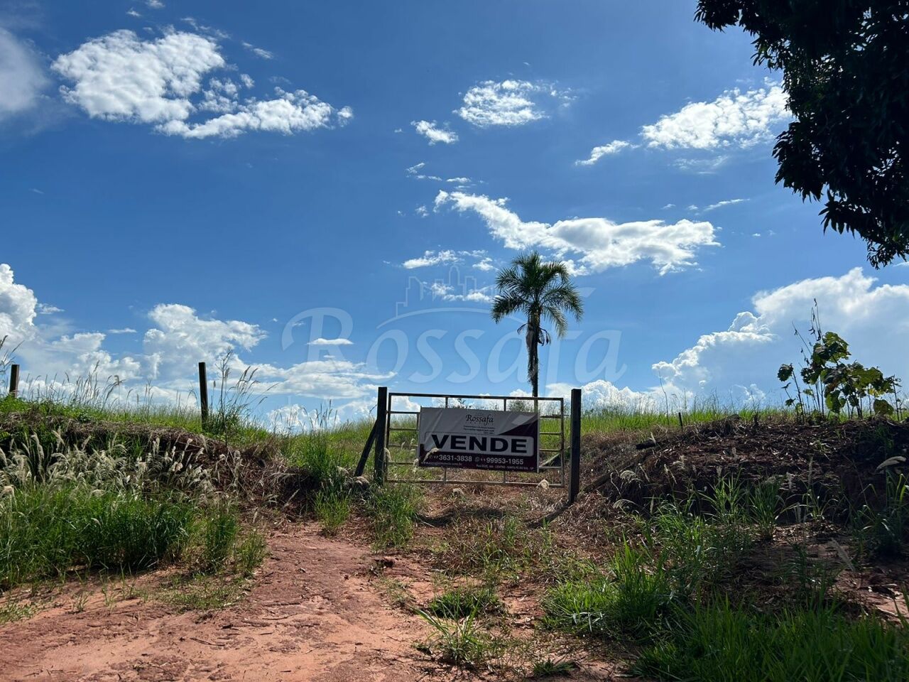 Area para Venda - CORREGO DO MARRUCO