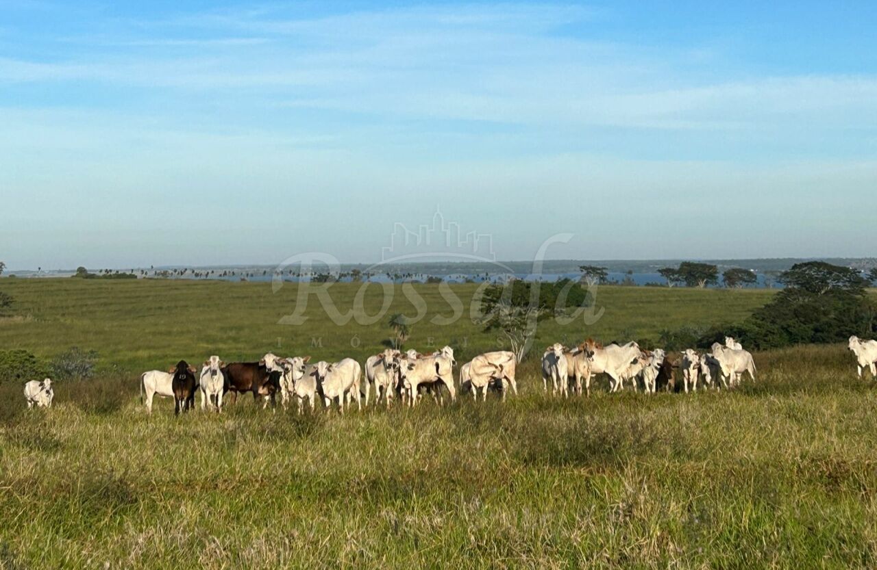 Sítio para Venda - CÓRREGO DO BACURI - RUBINÉIA -SP