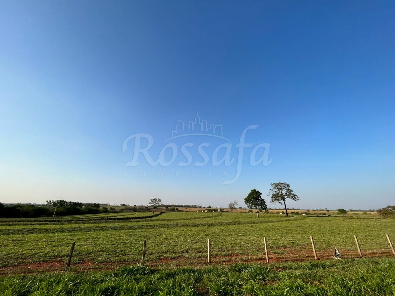 Fazenda para Venda - URÂNIA -SP