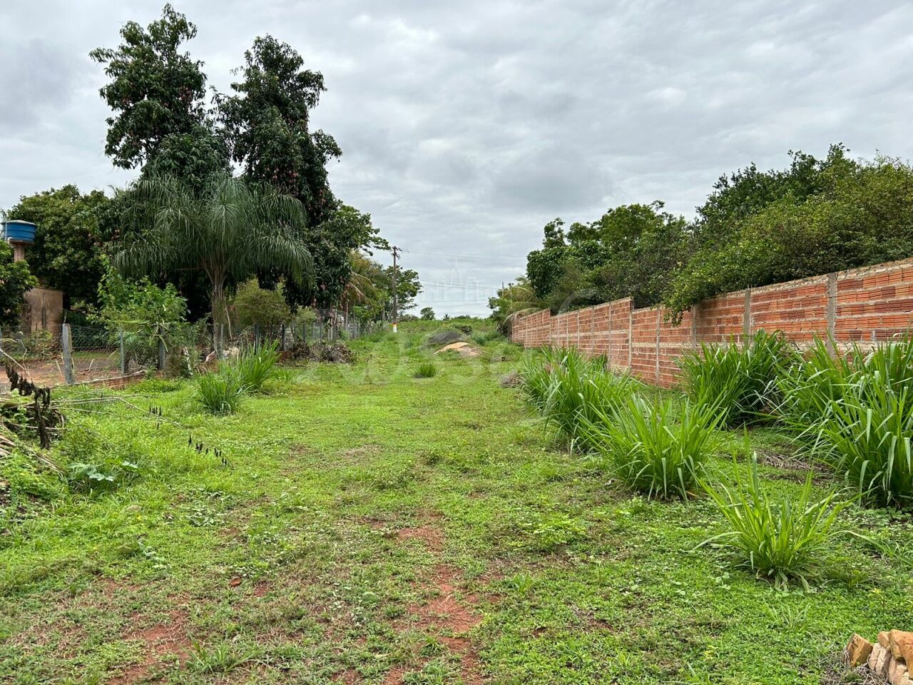 Chacara para Venda - Lagoa da Garça