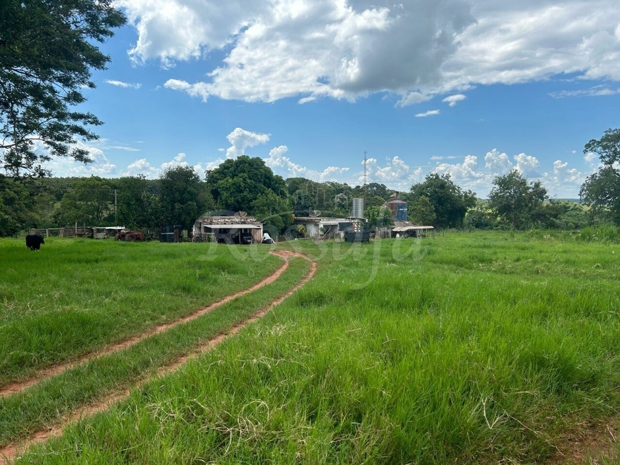 Area para Venda - TRÊS FRONTEIRAS -SP