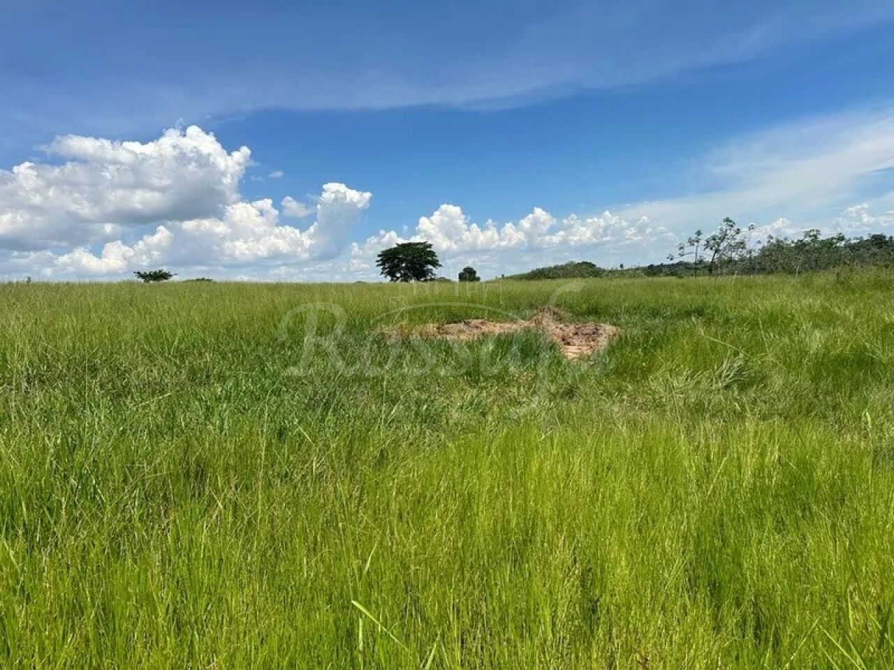 Sítio para Venda - CÓRREGO DO BACURI - RUBINÉIA -SP