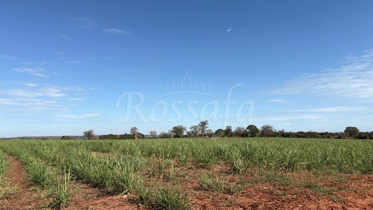 Fazenda para Venda - TRÊS FRONTEIRAS -SP