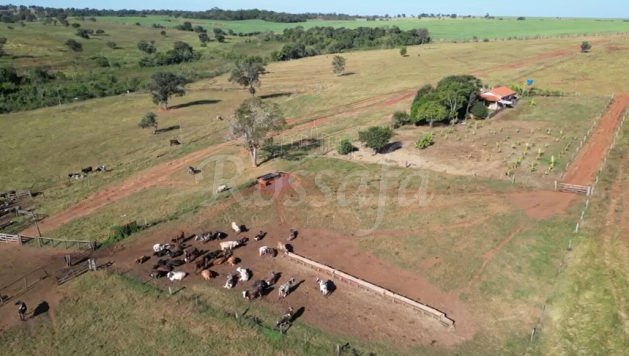 Fazenda para Venda - Centro