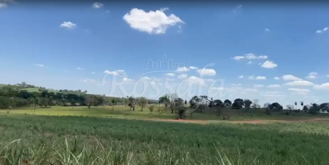 Fazenda para Venda - Centro