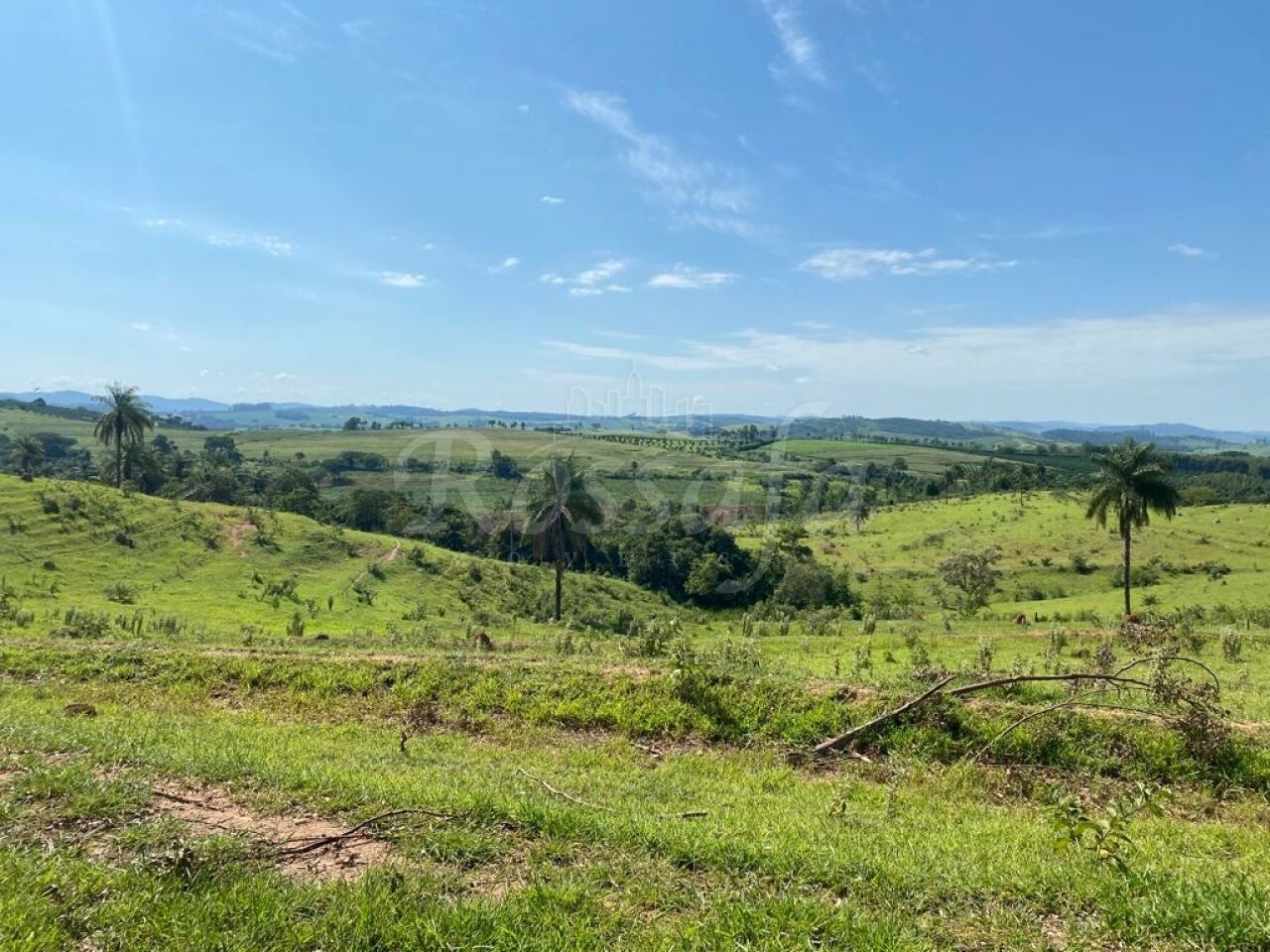 Fazenda para Venda - Área Rural de Santo Antônio de Posse