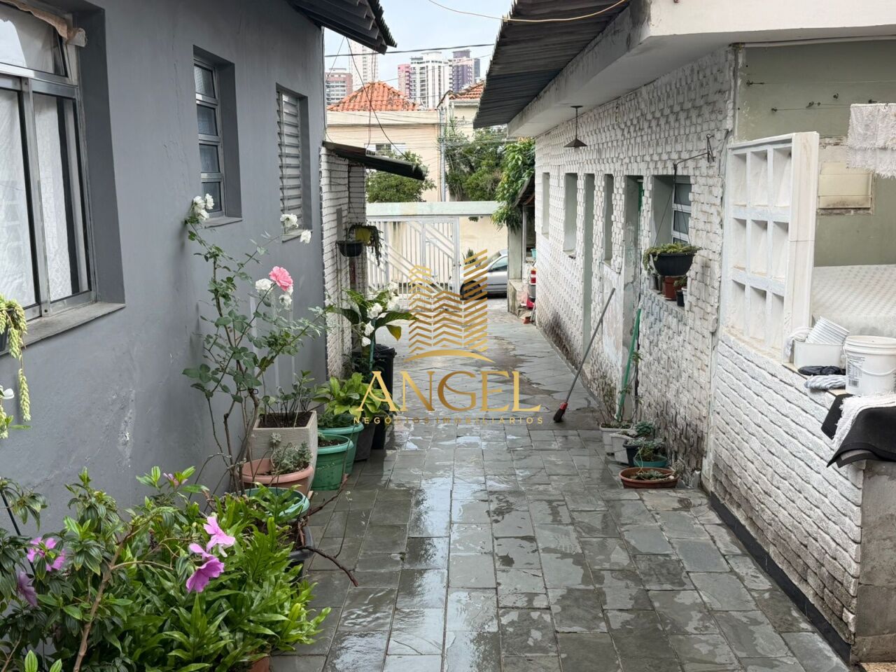 Terreno para Venda - Vila Regente Feijó