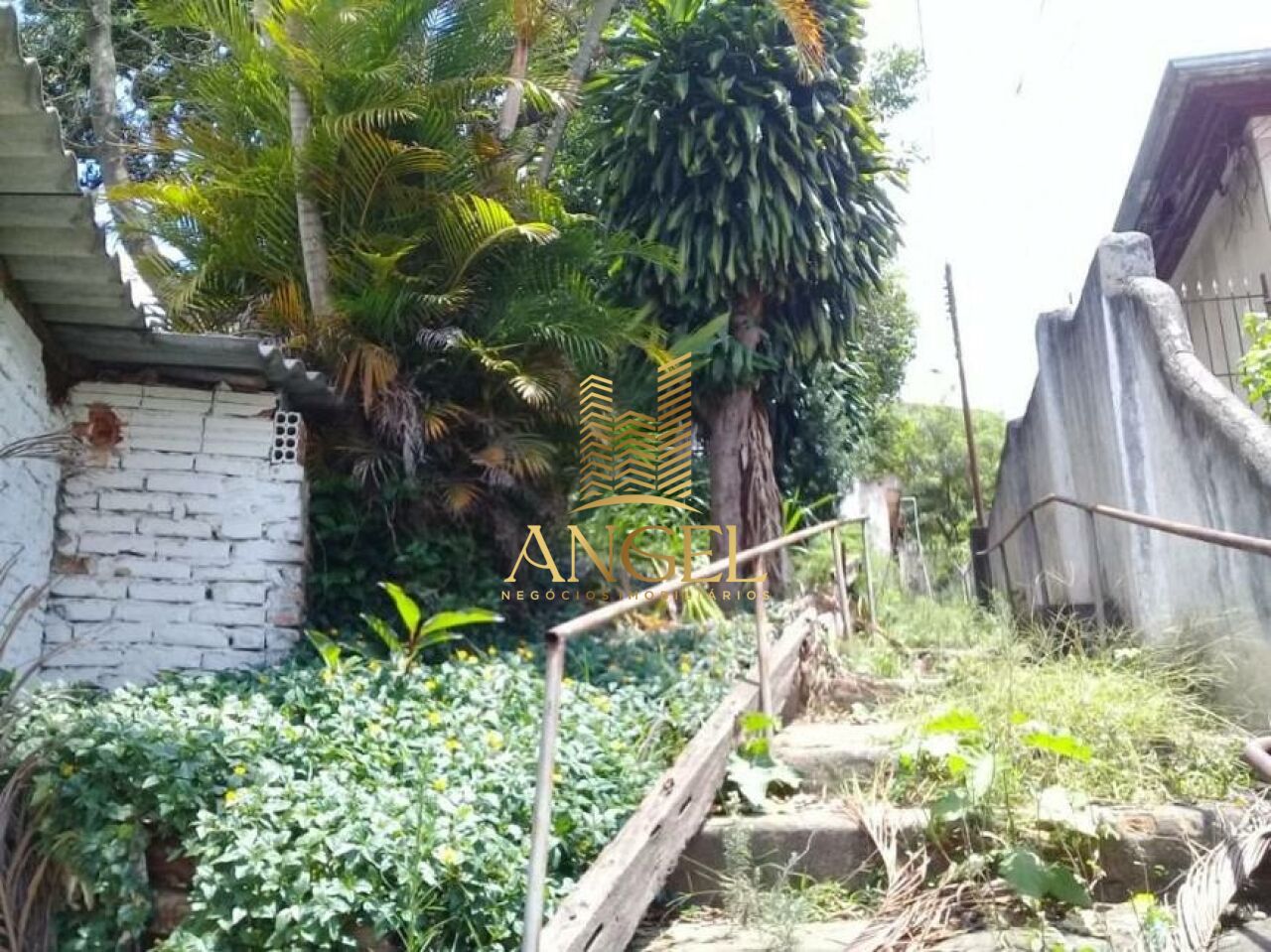 Terreno para Venda - Vila Bertioga