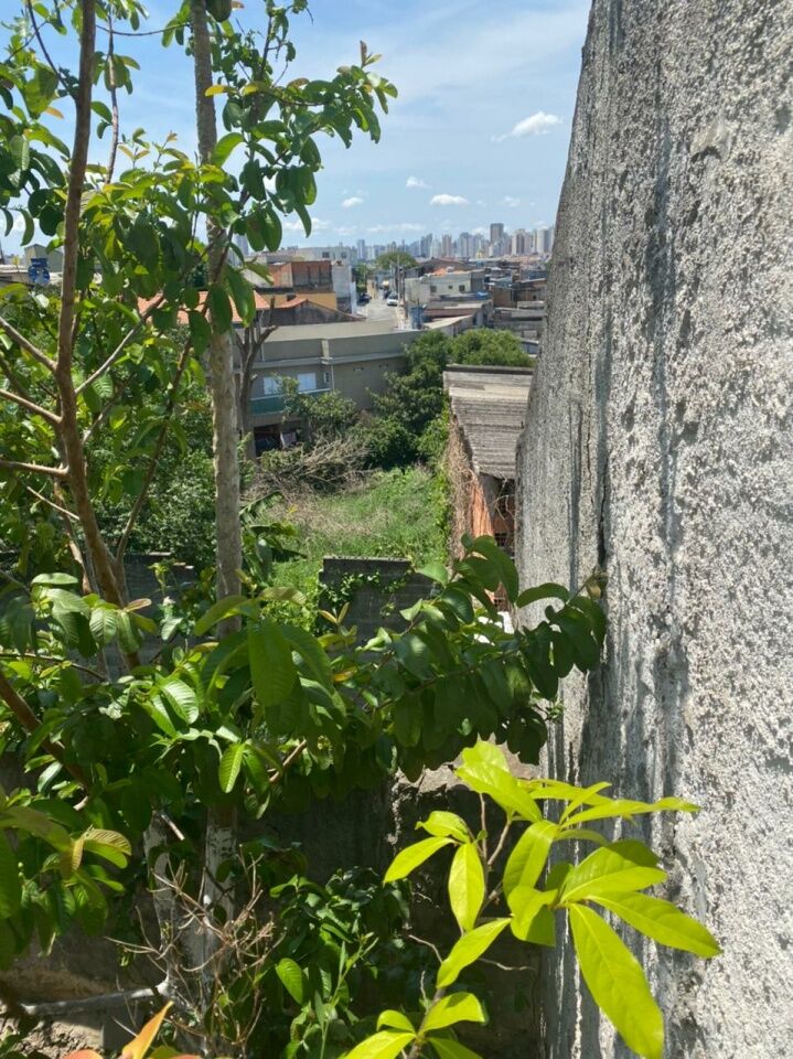 Terreno para Venda - Sítio do Mandaqui