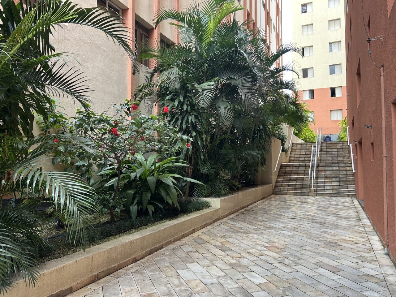 Apartamento para Locação - Bela Vista