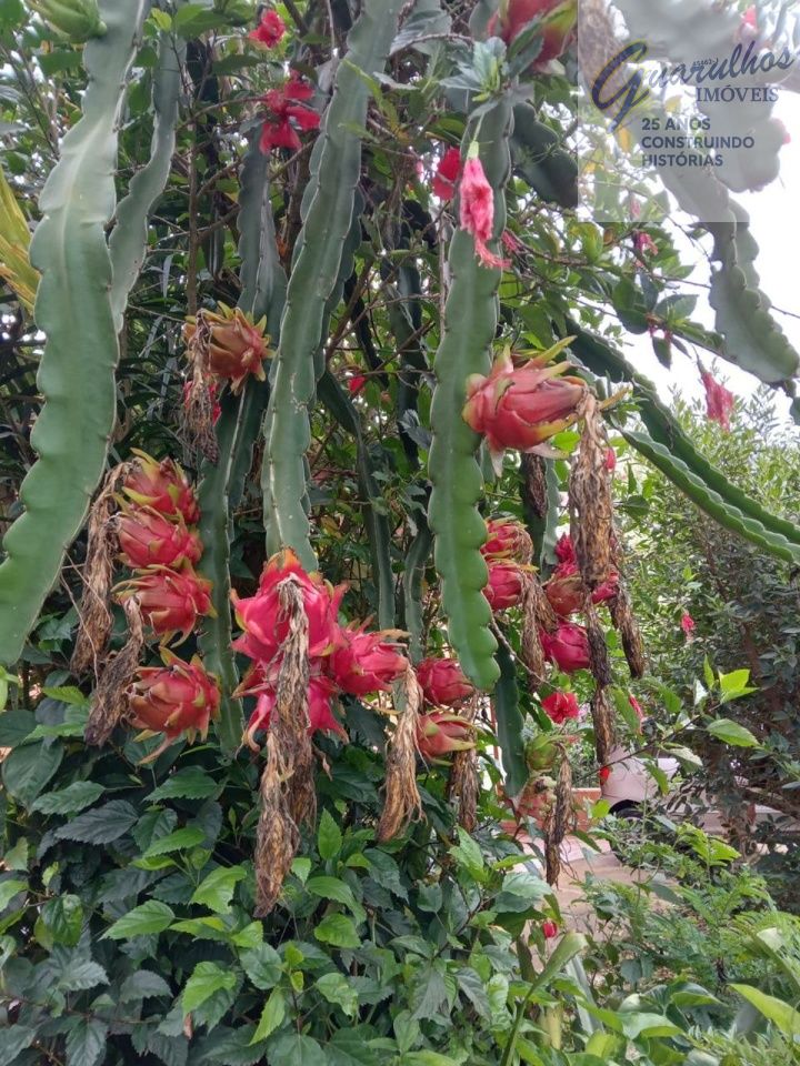 Chacara para Venda - Campos de São Benedito