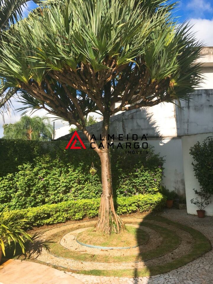 Foto 29