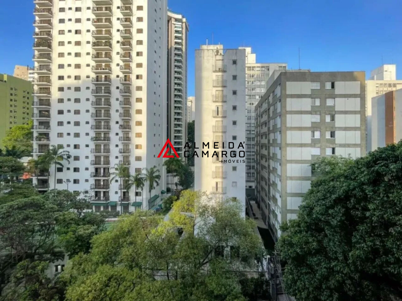 Foto 41