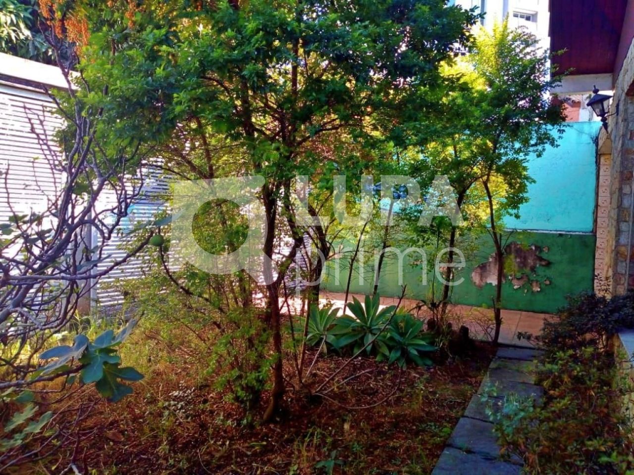 casa-terrea-venda-sao-paulo-vila-maria-3dormitorios-1suite-8vagas-285m2-LM14463