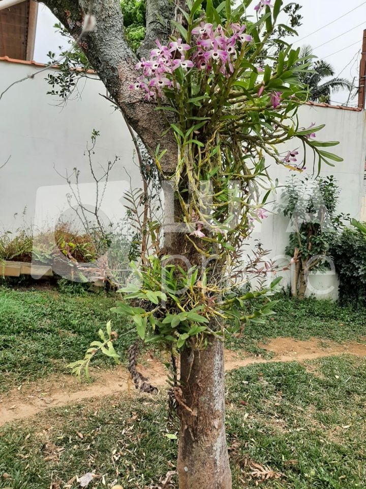 terreno-venda-sao-paulo-vila-irmaos-arnoni-133m2-LM17593