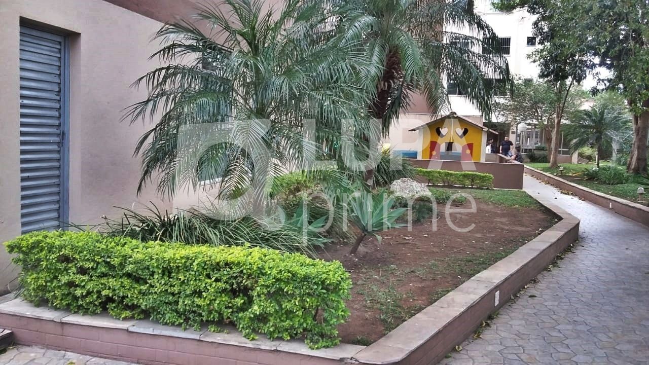 apartamento-venda-sao-paulo-jardim-andarai-2dormitorios-1vaga-61m2-LM17719