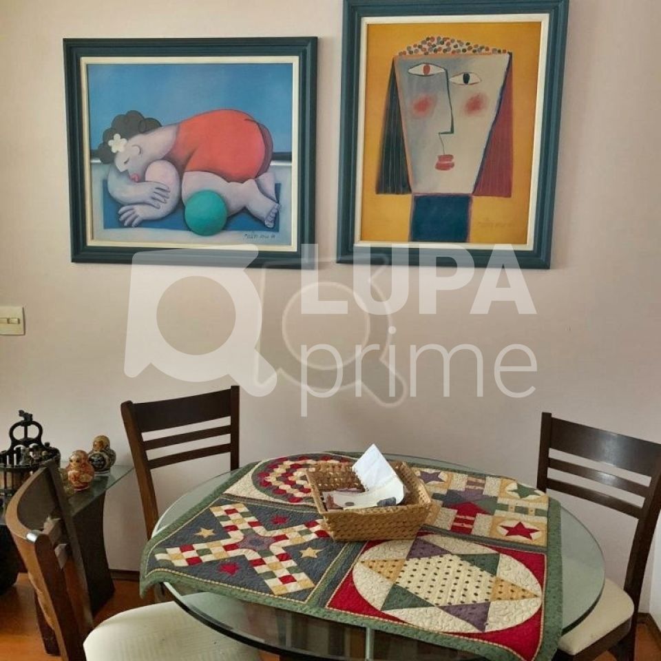 apartamento-venda-sao-paulo-tucuruvi-2dormitorios-1vaga-53m2-LM18604