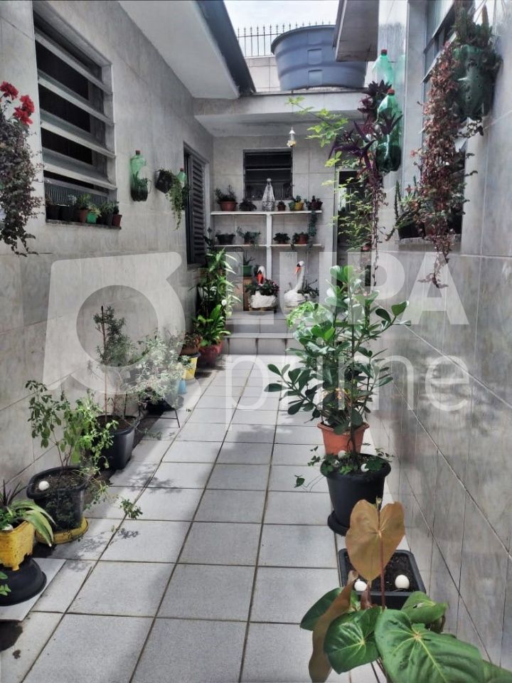casa-terrea-venda-sao-paulo-vila-isolina-mazzei-6dormitorios-3vagas-262m2-LM18986