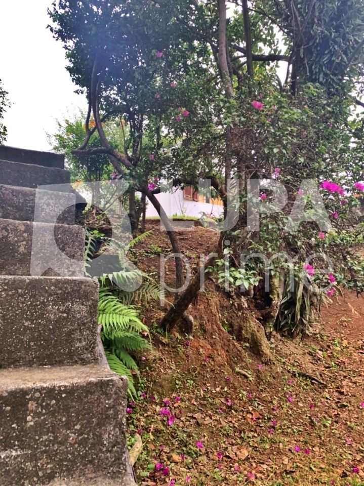 casa-terrea-venda-sao-paulo-vila-maria-alta-2dormitorios-1vaga-80m2-LM19203