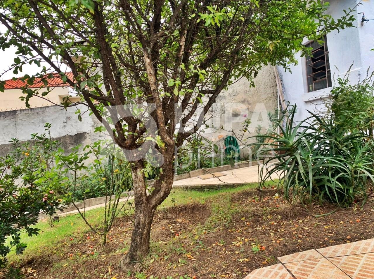 casa-terrea-venda-sao-paulo-vila-maria-alta-2dormitorios-1vaga-80m2-LM19203