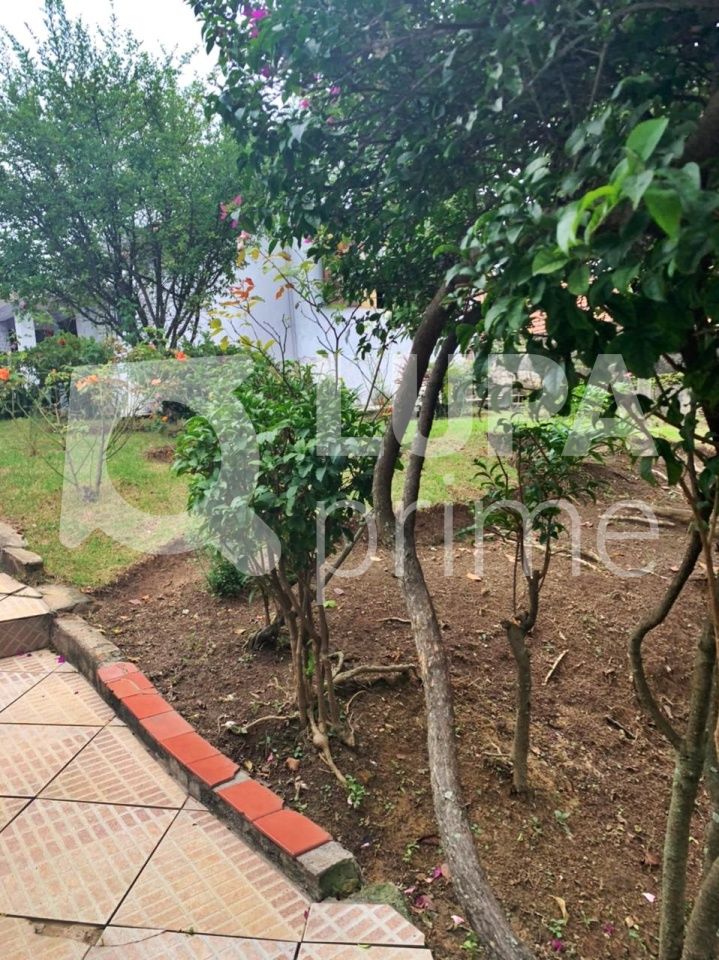 casa-terrea-venda-sao-paulo-vila-maria-alta-2dormitorios-1vaga-80m2-LM19203