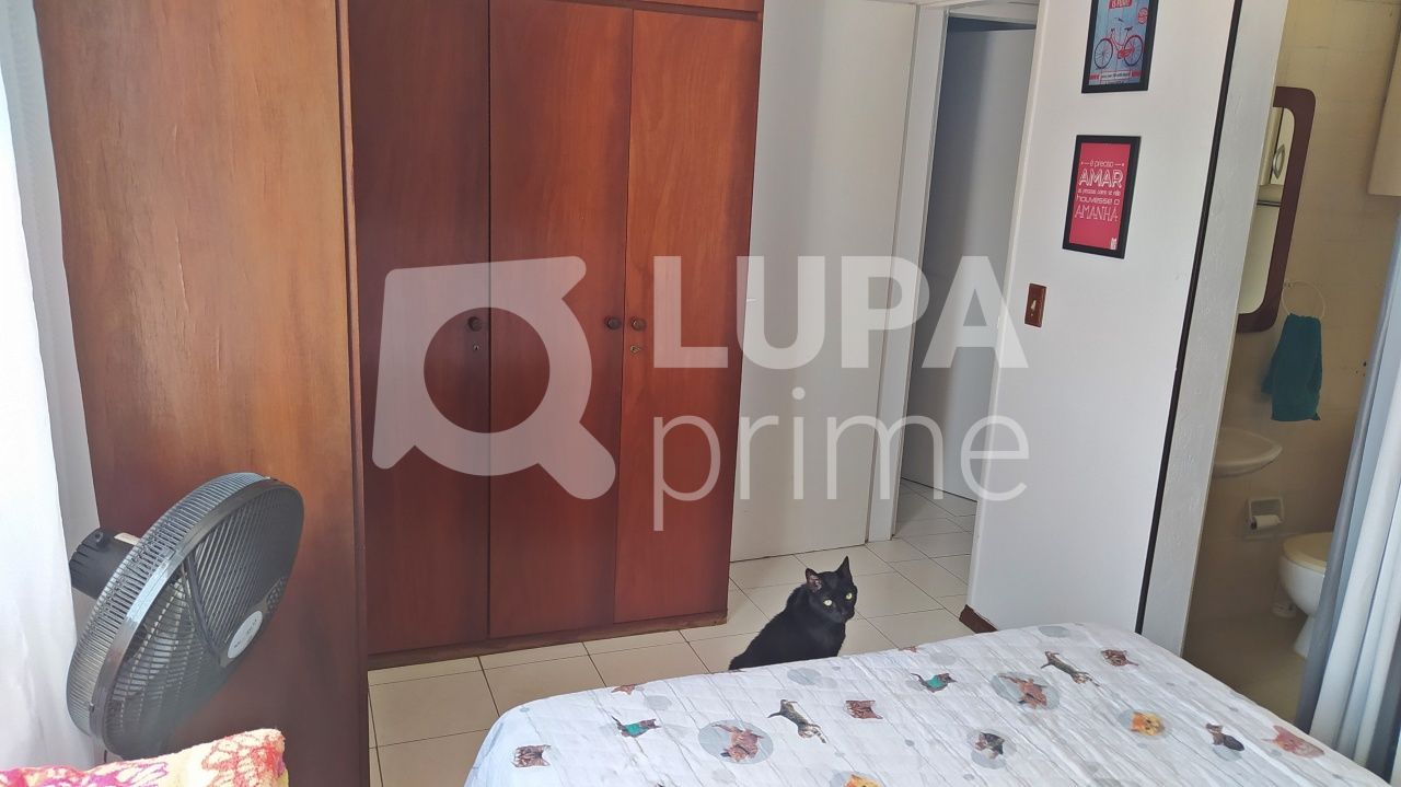 apartamento-venda-sao-paulo-tucuruvi-3dormitorios-1suite-1vaga-90m2-LM19769