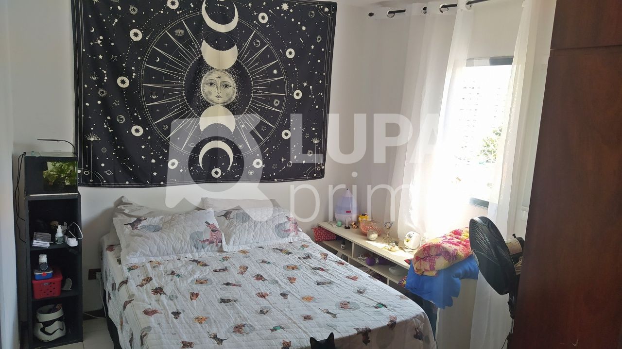 apartamento-venda-sao-paulo-tucuruvi-3dormitorios-1suite-1vaga-90m2-LM19769