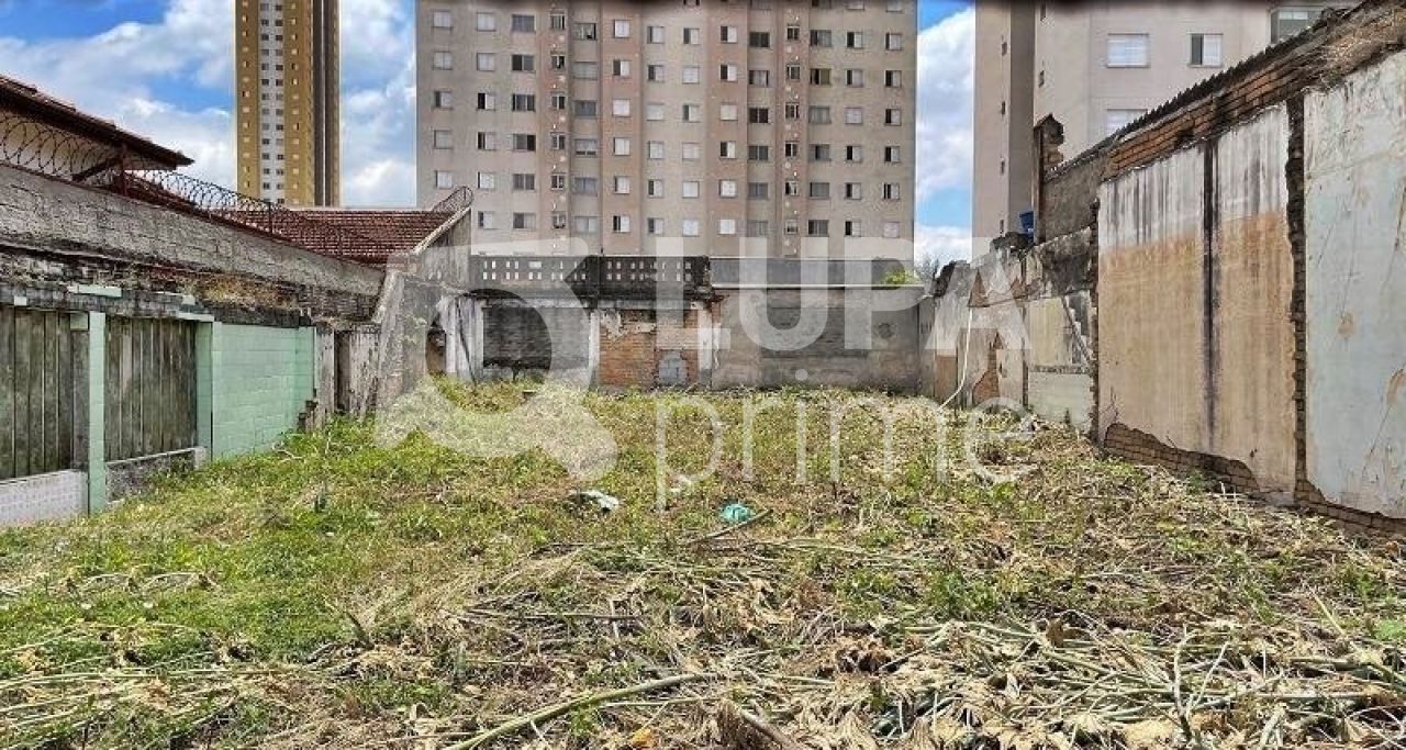terreno-venda-sao-paulo-tatuape-235m2-LM21314