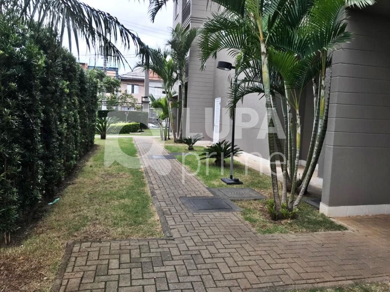 apartamento-venda-sao-paulo-mooca-2dormitorios-1vaga-52m2-LM22450